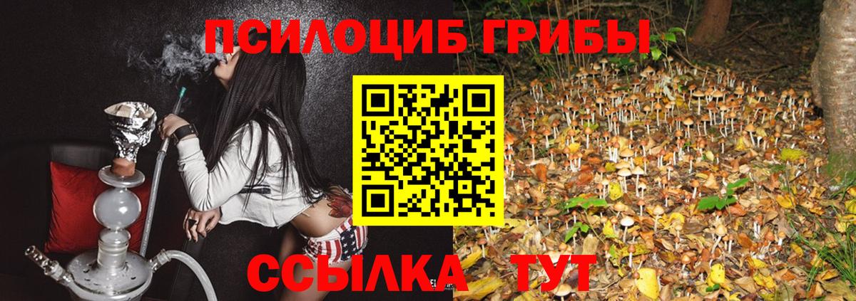 Альфа ПВП Луга