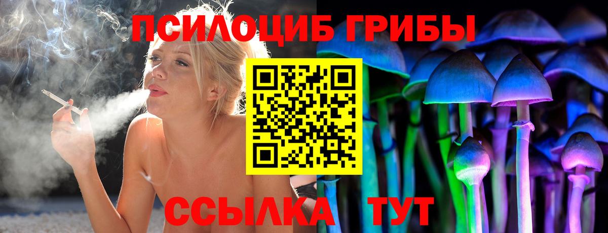 Галлюциногенные грибы мицелий  Вход с VPN  Псилоцибиновые грибы GOLDEN TEACHER  Луга 